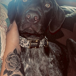 Lilly ha añadido una foto de su compra