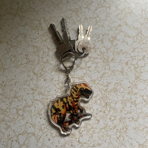 Rainbow Raptor Dinosaur Caihong Juji Double-sided Acrylic Keychain - Etsy