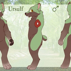 Custom Furry Reference Sheet PLEASE read the full | Etsy