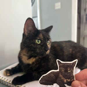 Samantha added a photo of their purchase