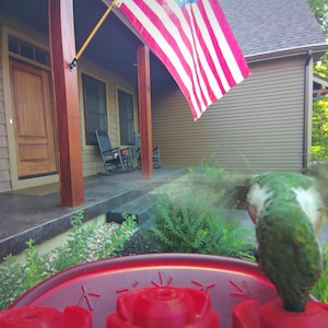 Christine added a photo of their purchase