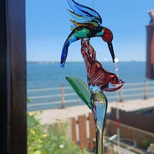 Rose added a photo of their purchase