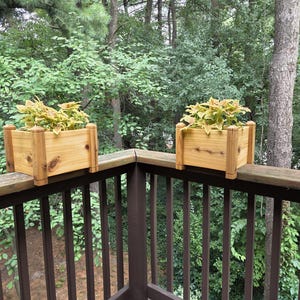 Tricia added a photo of their purchase