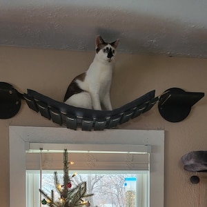 Pepper added a photo of their purchase