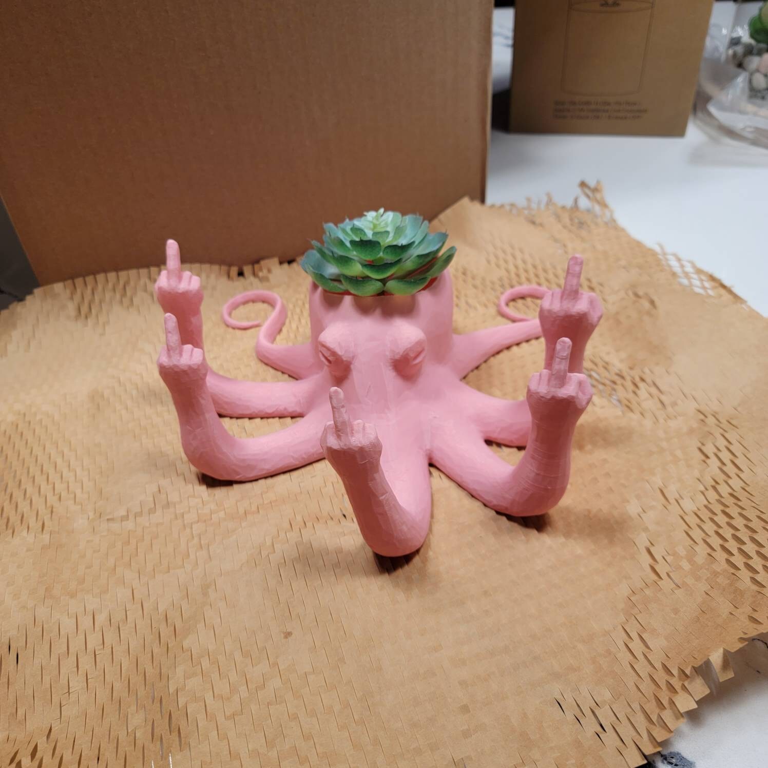 Fucktopus Planter