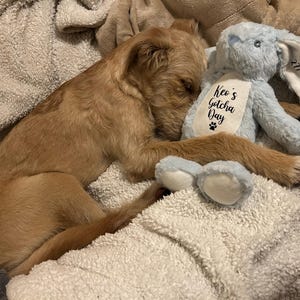 Lucy added a photo of their purchase