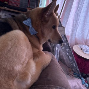 Anna added a photo of their purchase