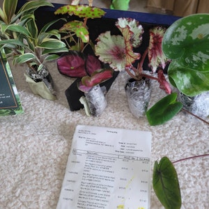 karen ha añadido una foto de su compra