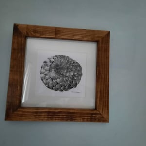 Sam a ajouté une photo de son achat
