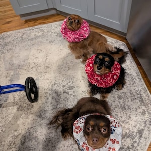 Jennifer added a photo of their purchase