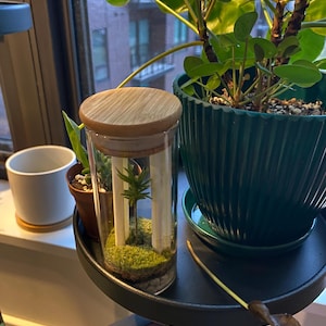 Sharon added a photo of their purchase