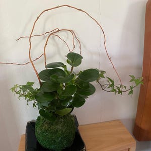 Ash ha añadido una foto de su compra