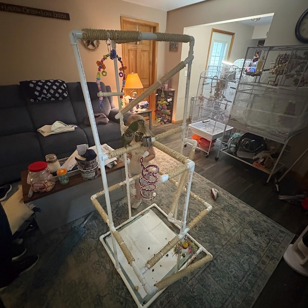 DIY Deluxe PVC Bird Play Stand How-to Guide With Ramps (digital ...