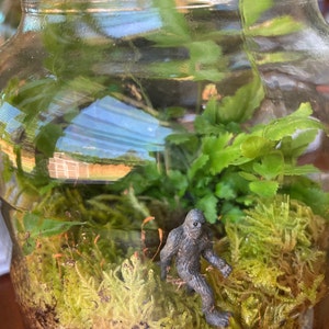 Diane added a photo of their purchase