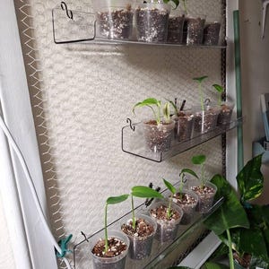 Andrea added a photo of their purchase