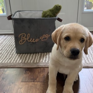 Baylee added a photo of their purchase