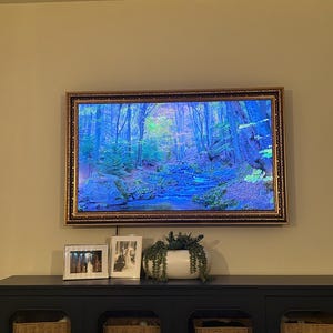Emily added a photo of their purchase
