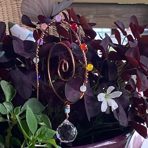 Connie added a photo of their purchase