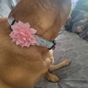 Christina added a photo of their purchase