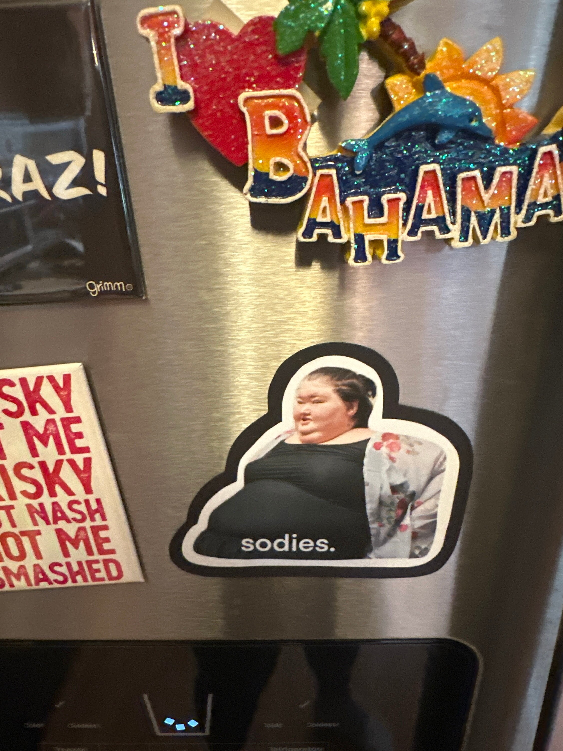 Amy Slaton magnet, 1000 lb sisters magnet, funny fridge magnet, sodies, TLC show, 1000 pound sisters, my 600 pound life, my bills are paid