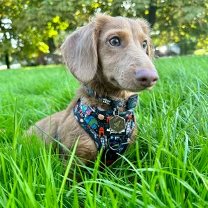 Indie added a photo of their purchase