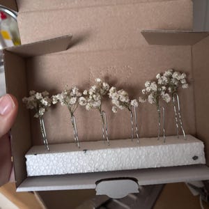 Zinnia added a photo of their purchase