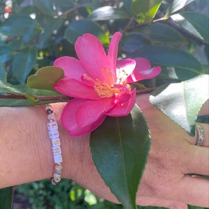 Dana added a photo of their purchase