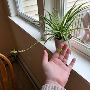 Kelly added a photo of their purchase