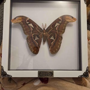 Tiffany added a photo of their purchase