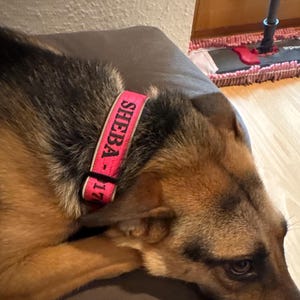 Geoffrey added a photo of their purchase