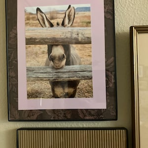 Lisa added a photo of their purchase