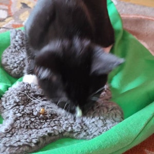 Siobhan added a photo of their purchase