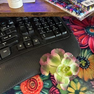 VICKI added a photo of their purchase