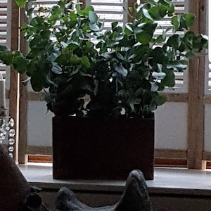 Joanne ha añadido una foto de su compra