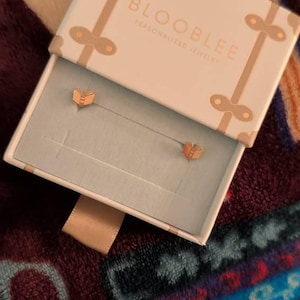 Customer photo, Open Book Stud Earrings
