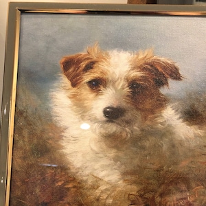 Shawn ha añadido una foto de su compra