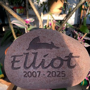 Beth added a photo of their purchase