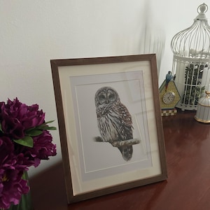 Occhino, added a photo of their purchase