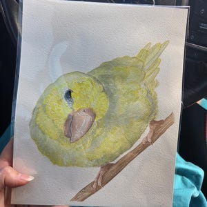 emine added a photo of their purchase