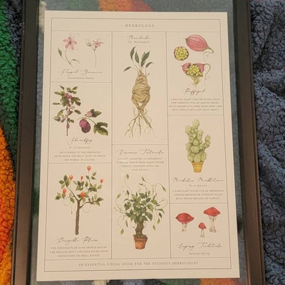 Herbology Chart A3 Print - Etsy