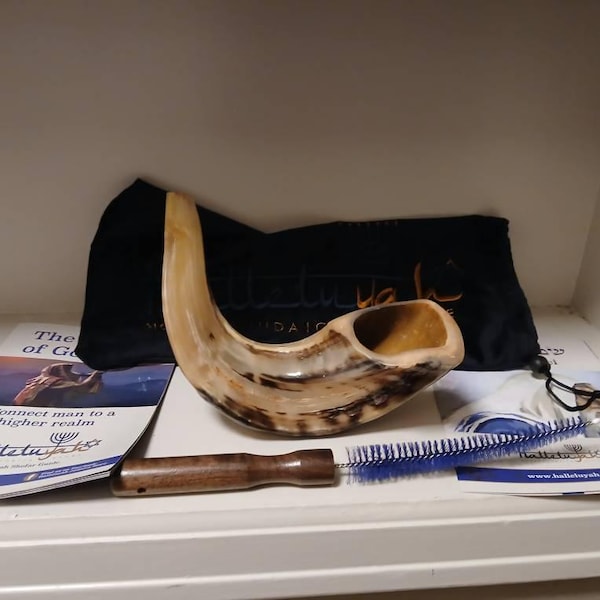 Shofar Horn From Israel, Ram Horn Shofar, Kosher Shofar, Viking Blowing ...