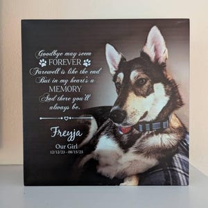 Tylor added a photo of their purchase
