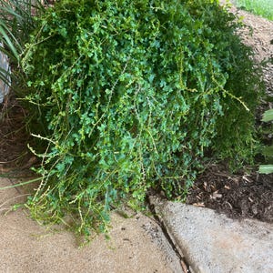 Jennifer added a photo of their purchase