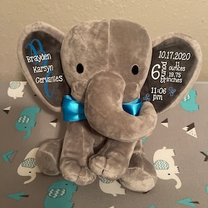 Eulexis added a photo of their purchase