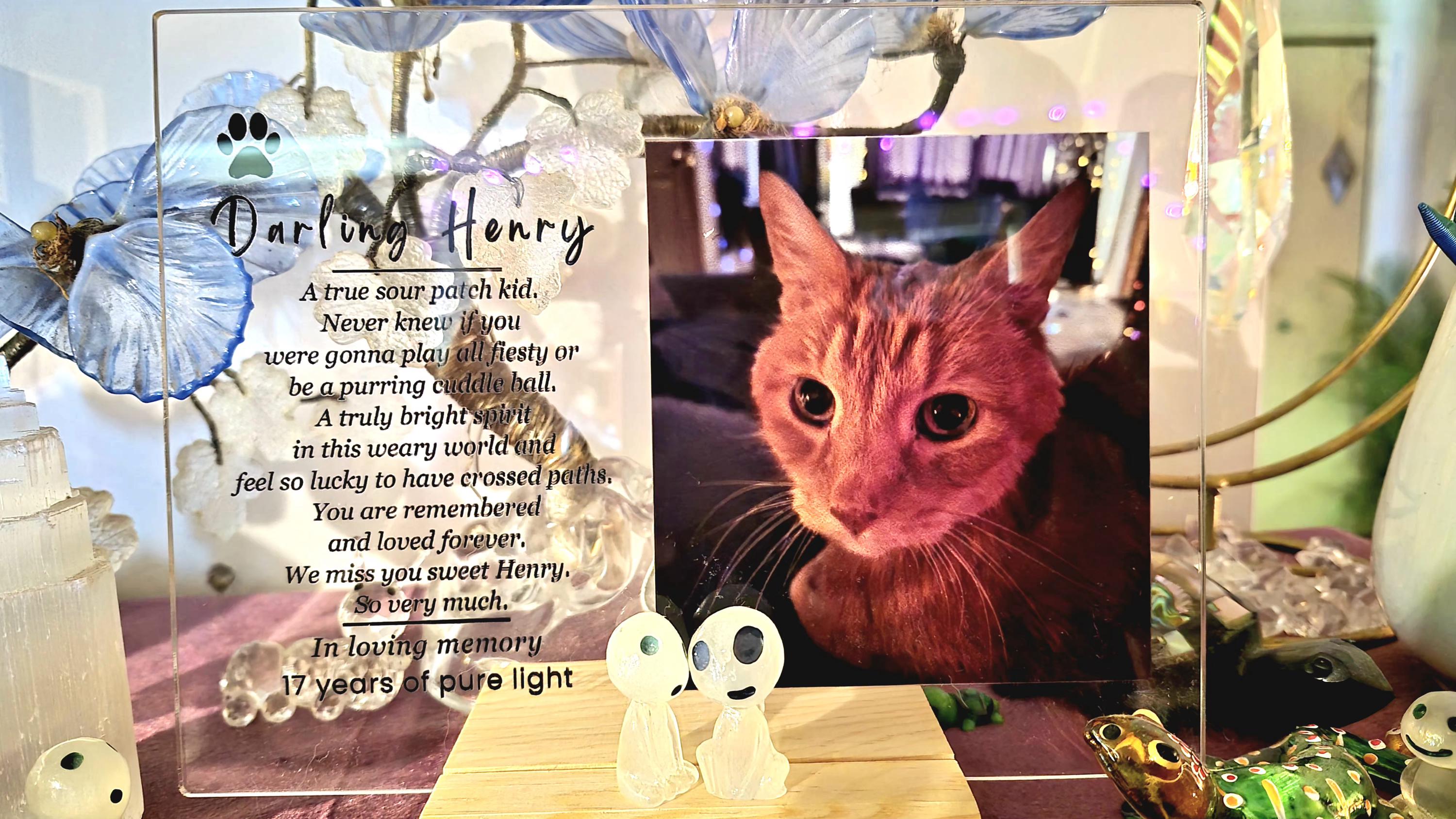 Customer photo for Album Plaque Acrylic Song Cover