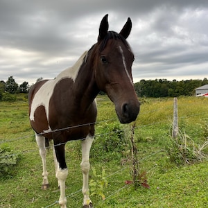 Nova added a photo of their purchase