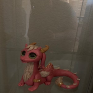 Amber added a photo of their purchase