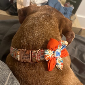 Rachel added a photo of their purchase