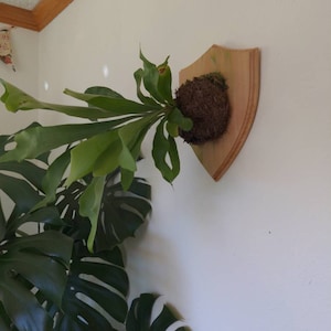 Jennette added a photo of their purchase