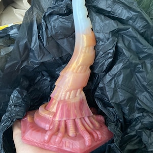 Brianna added a photo of their purchase